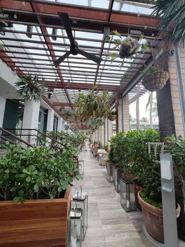 Matador Room Miami Beach outdoor venue: biophilic terrace for upscale networking and cocktail events.