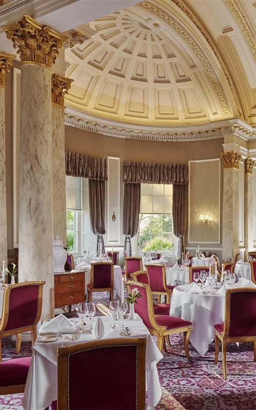 The Garden Room