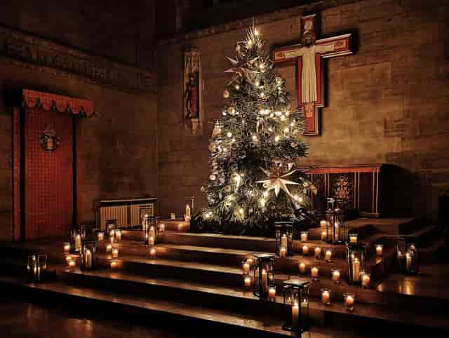Christmas tree glowing in St Peter's Brighton, perfect for holiday gatherings.