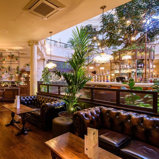 The Botanist Exeter