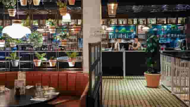 The Botanist Exeter