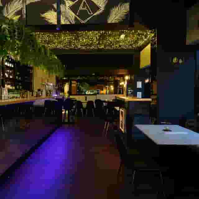 Coriander Lounge