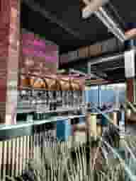 Central Manchester