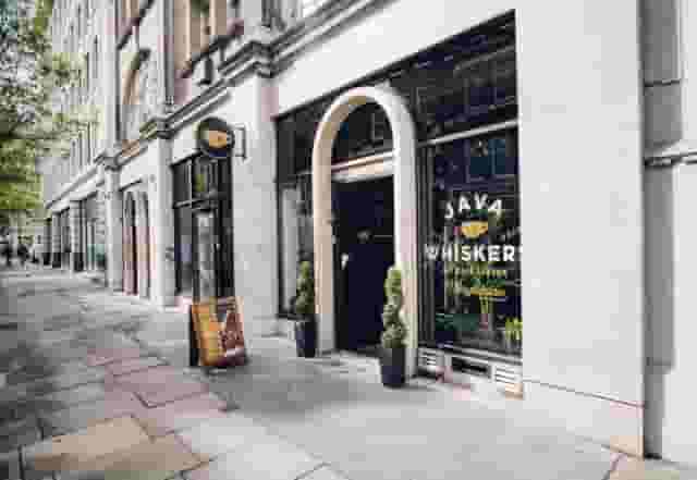 Java Whiskers Cat Cafe Marylebone