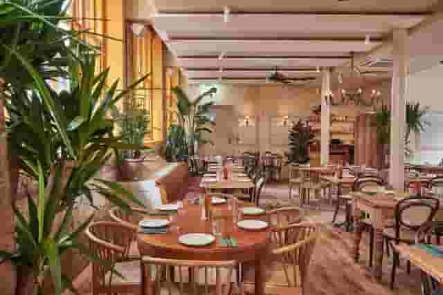 Casa do Frango - Mayfair