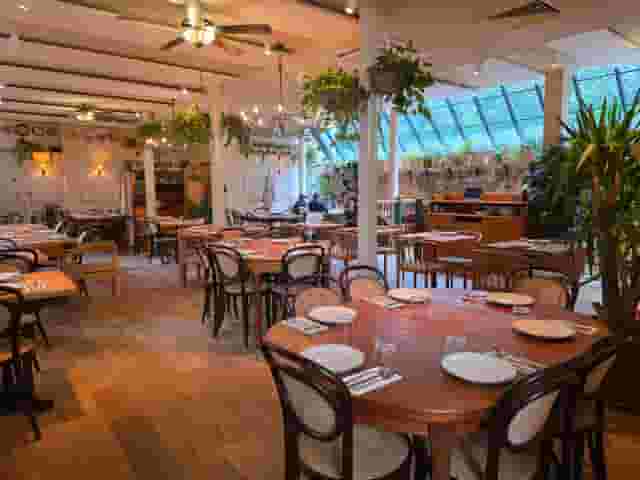 Casa do Frango - Mayfair