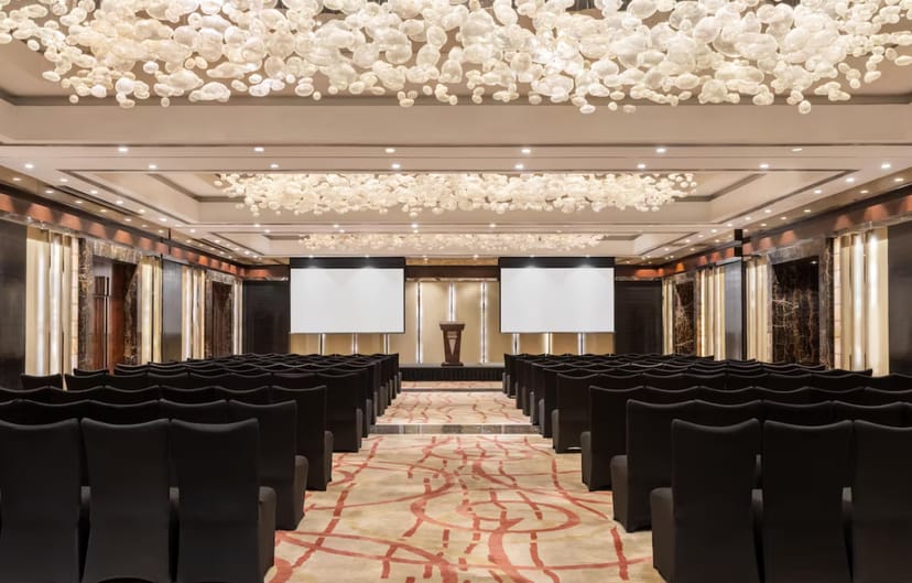 Plaza Lounge Radisson Blu Delhi: elegant theater-style seating for corporate events.