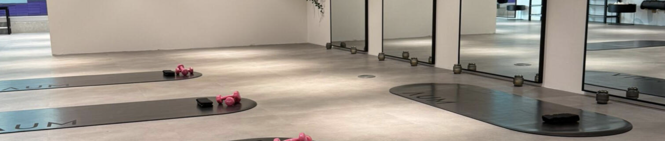 Wellness 360 Fitness Studio with mirrors and pink dumbbells, perfect for fitness events.