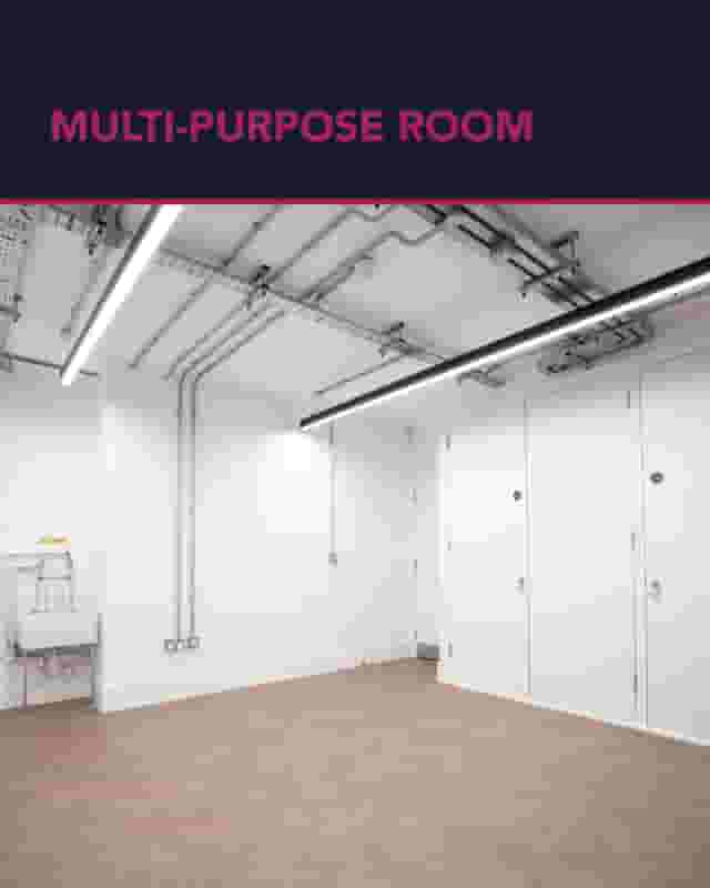 The Multipurpose Room
