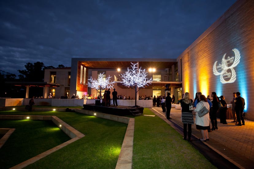University Club corporate reception with LED trees and atmospheric uplighting for networking events.