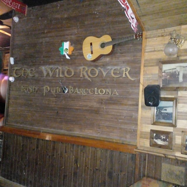 WILD ROVER