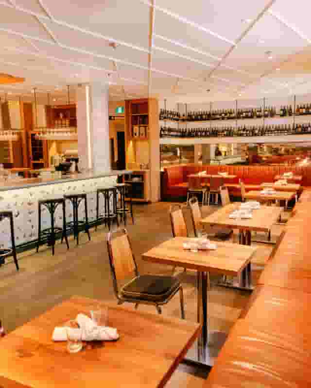 Terroni