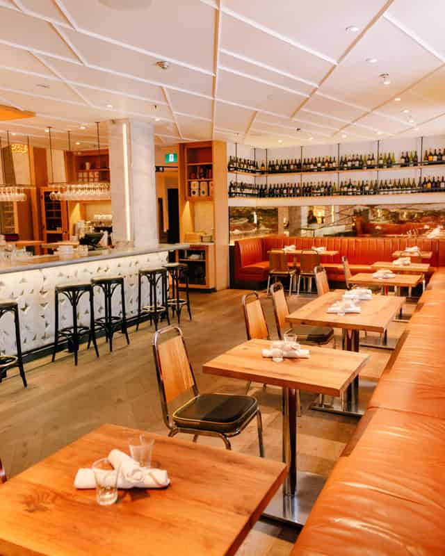 Terroni