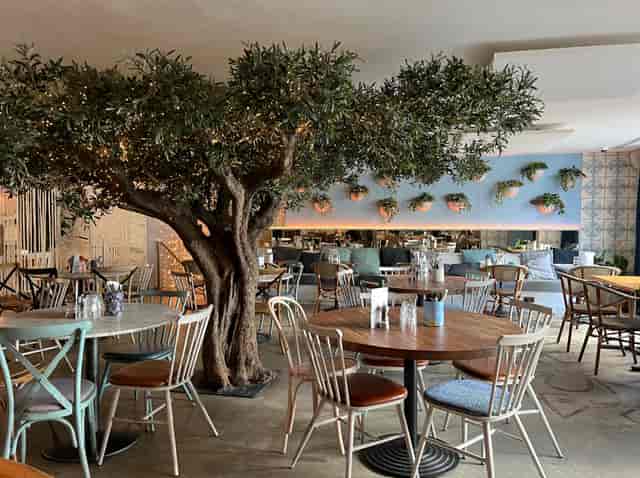 Olive tree centerpiece in Megan’s Clapham venue, perfect for private events and dining layouts.