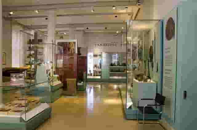 Museum of Archaeology and Anthropology