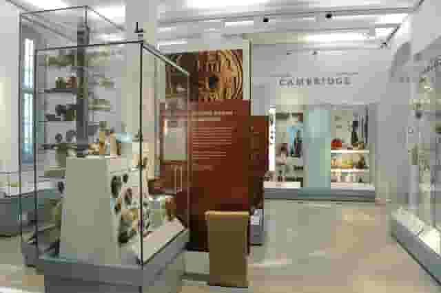 Museum of Archaeology and Anthropology