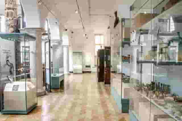 Museum of Archaeology and Anthropology
