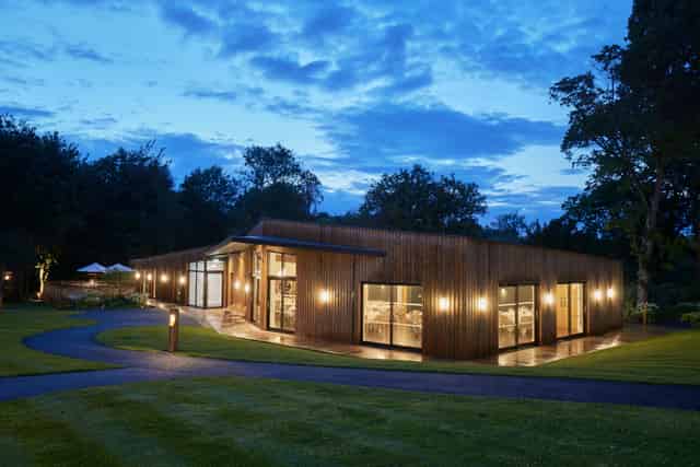 Sapwood