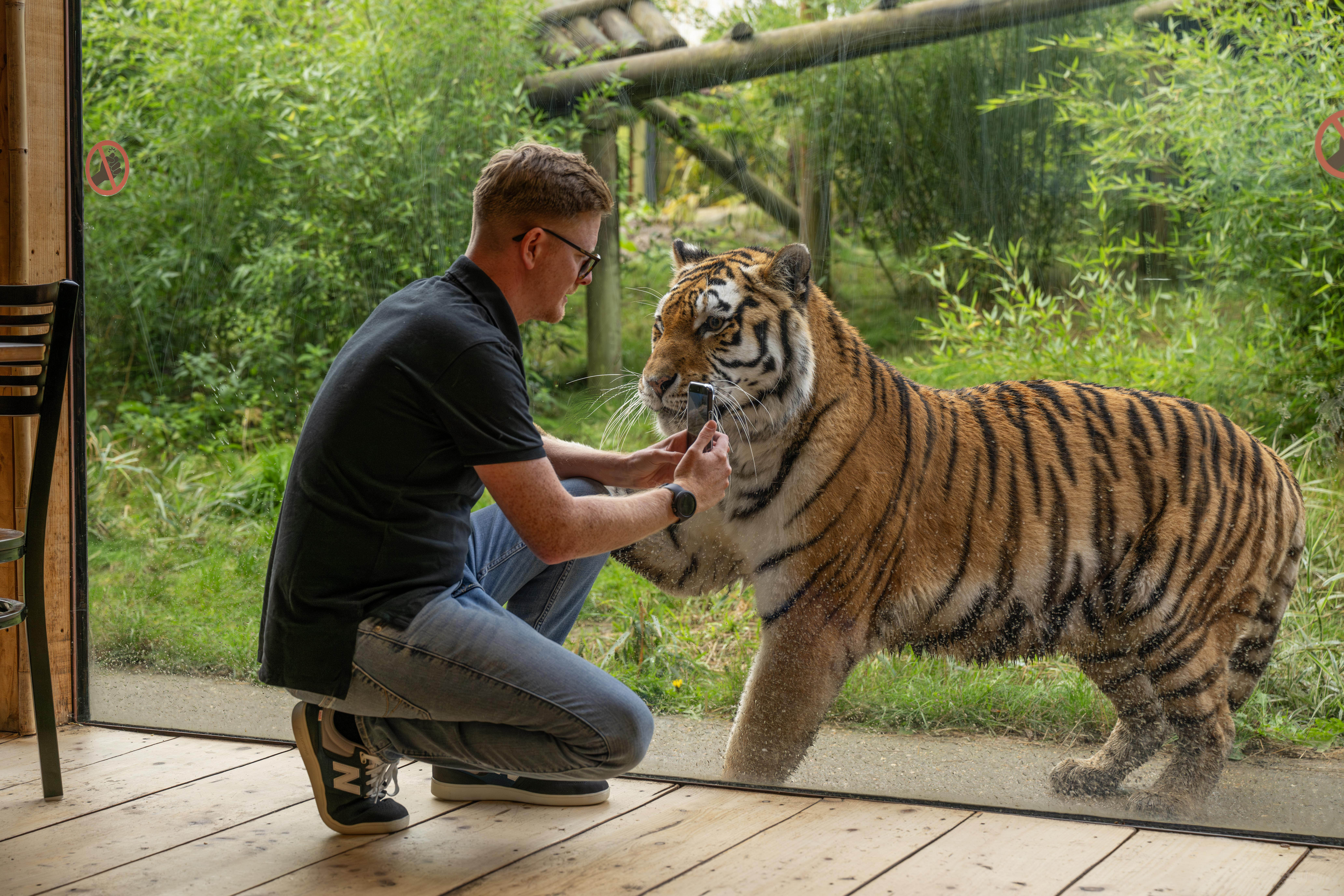 Tiger Venue at Hertfordshire Zoo: unique event space for immersive educational experiences.