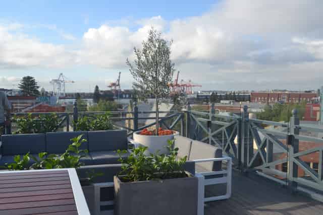Rooftop Bar