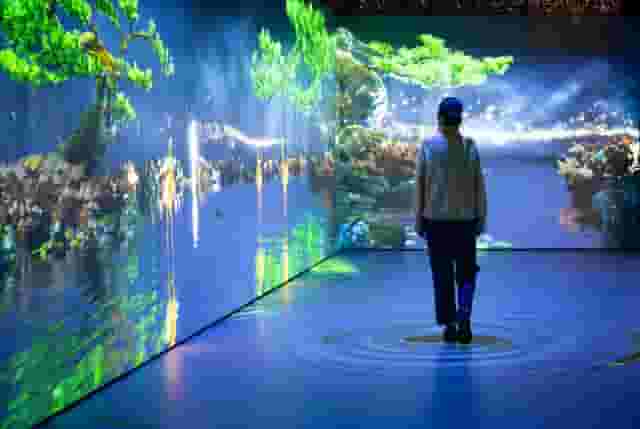 Level One - Special Exhibitions