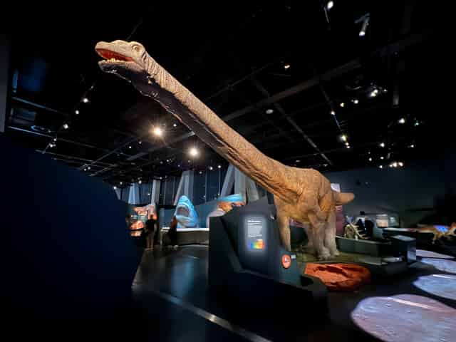Level One - Special Exhibitions