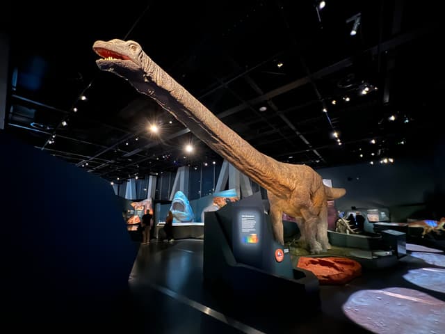 WA Museum Boola Bardip