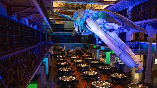Level One - Special Exhibitions