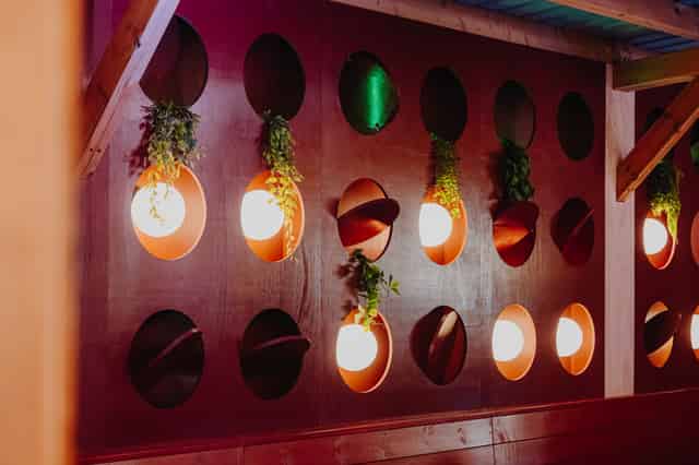 The Snug
