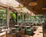 Wine Bars