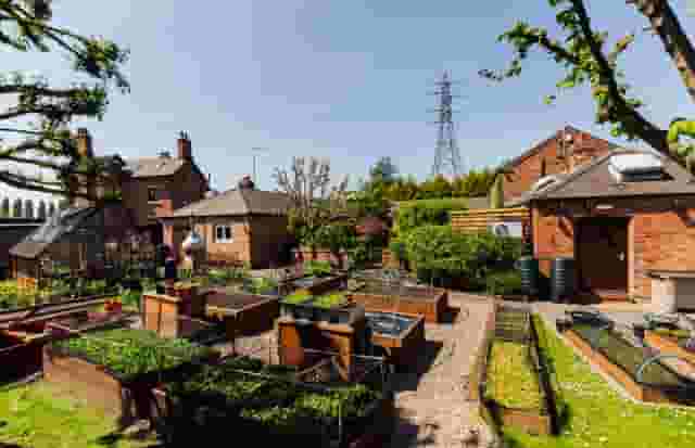 Courtyard Garden