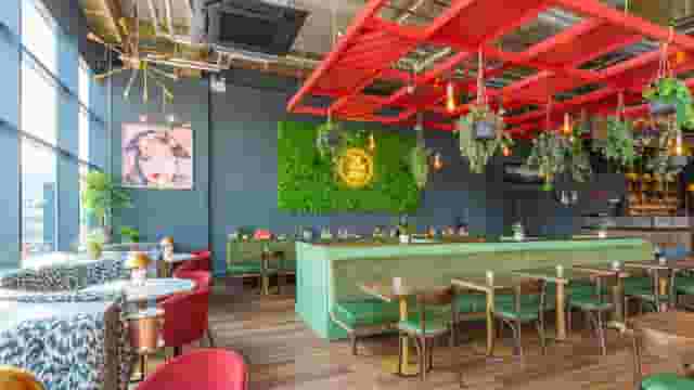 The Green Room