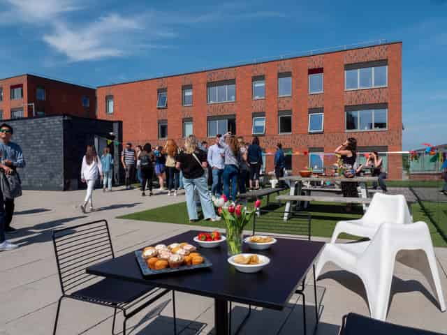 Jactin Roof Terrace