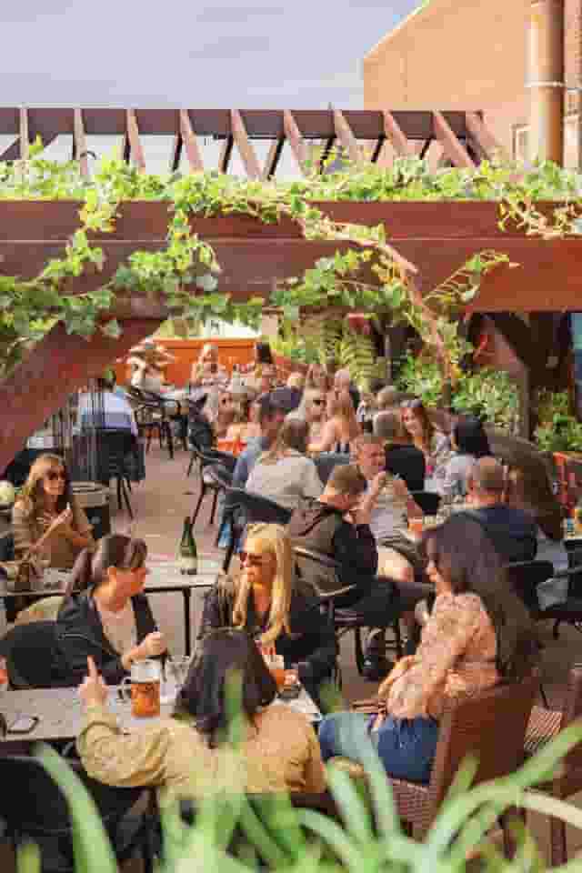 Blackstock Roof Garden