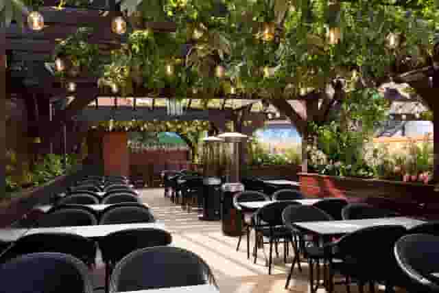 Blackstock Roof Garden