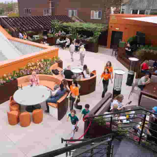 Blackstock Roof Garden