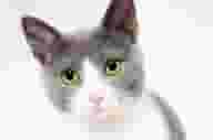 Greater London