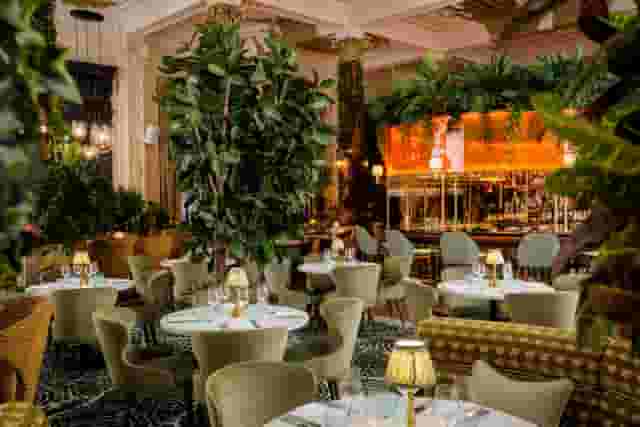 Idalia Restaurant