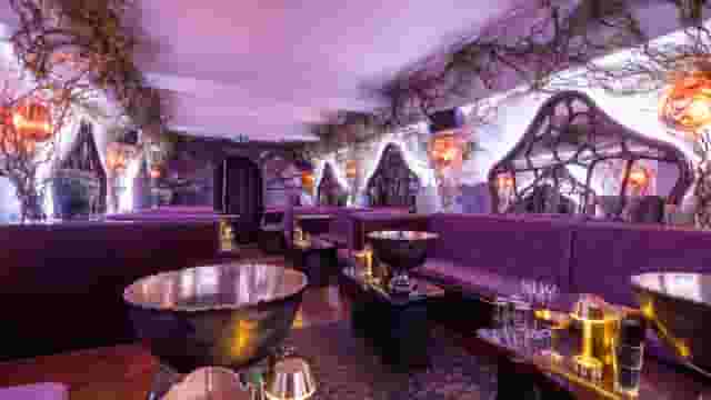 The Rex Rooms
