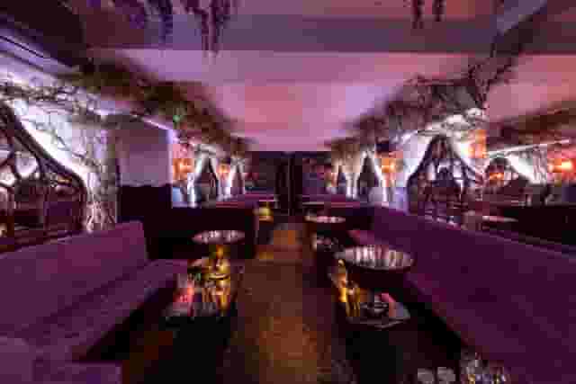 The Rex Rooms