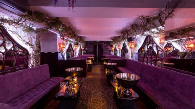 The Rex Rooms