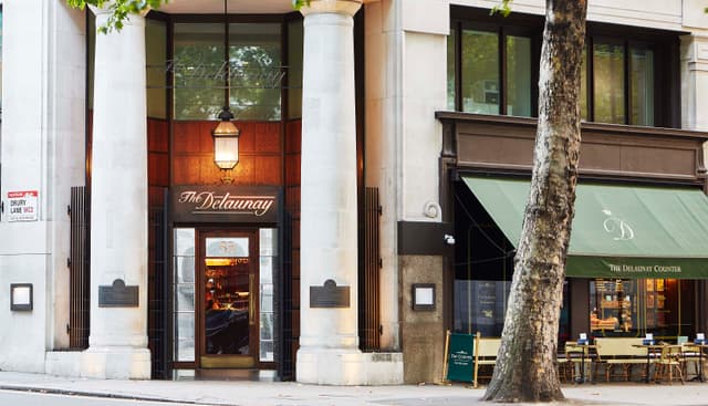 The Delaunay
