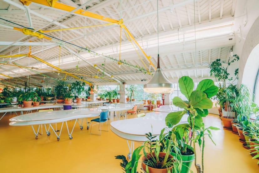 Second Home Mercado - image 1