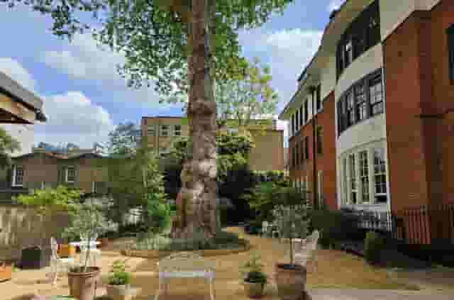 Courtyard & Garden 