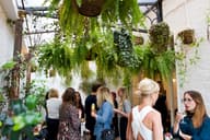Party Venues