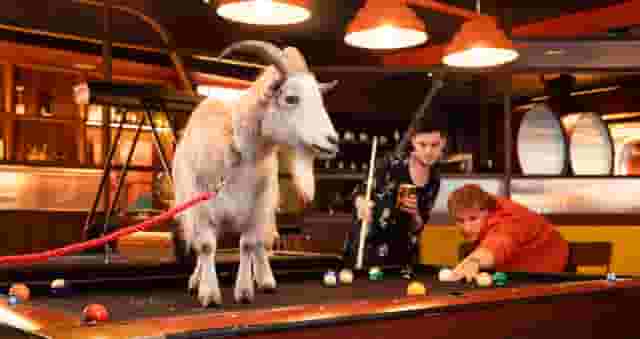 The Lucky Goat
