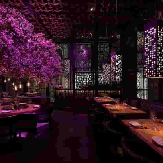 Tattu Manchester