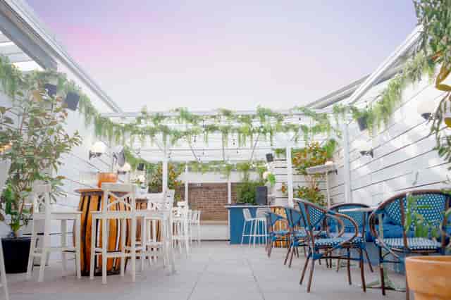 Bubba Oasis - image 3