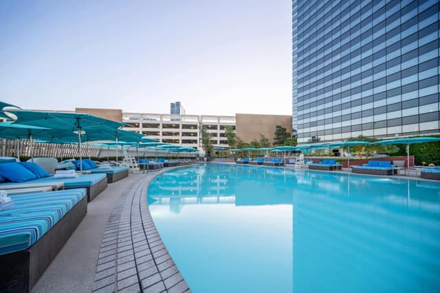 Pool & Cabanas Vdara