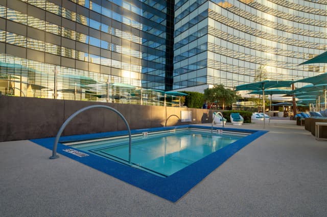 Pool & Cabanas Vdara
